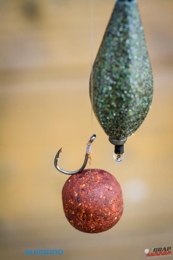 CN 2017 - bila-1016.jpg